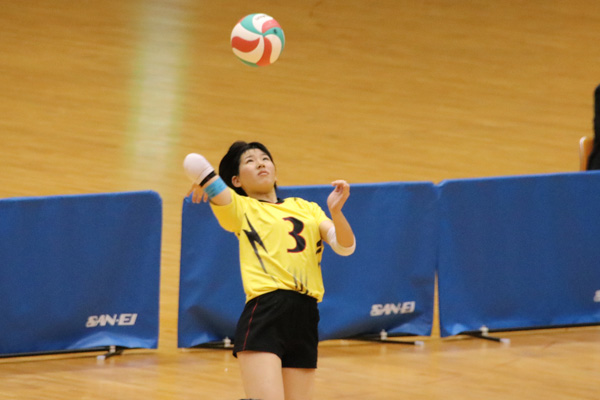 H30_volley04