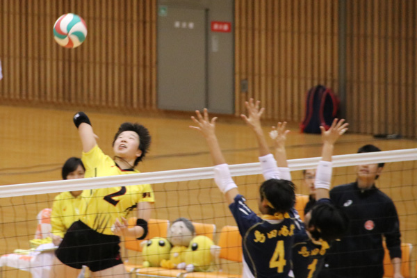 H30_volley05